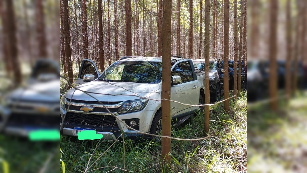 Imagem referente a Caminhonetes furtadas e roubadas são encontradas escondidas em plantação às margens da BR-163
