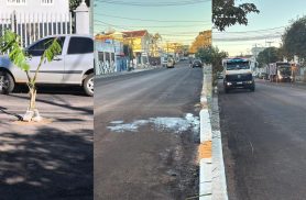 Após bananeira ser 'plantada' em buraco no meio da rua, Prefeitura inicia reparo na Rua Mobral Após bananeira ser 'plantada' em buraco no meio da rua, Prefeitura inicia reparo na Rua Mobral