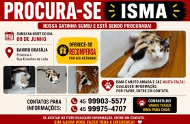 Gata ISMA desapareceu no bairro Brasília