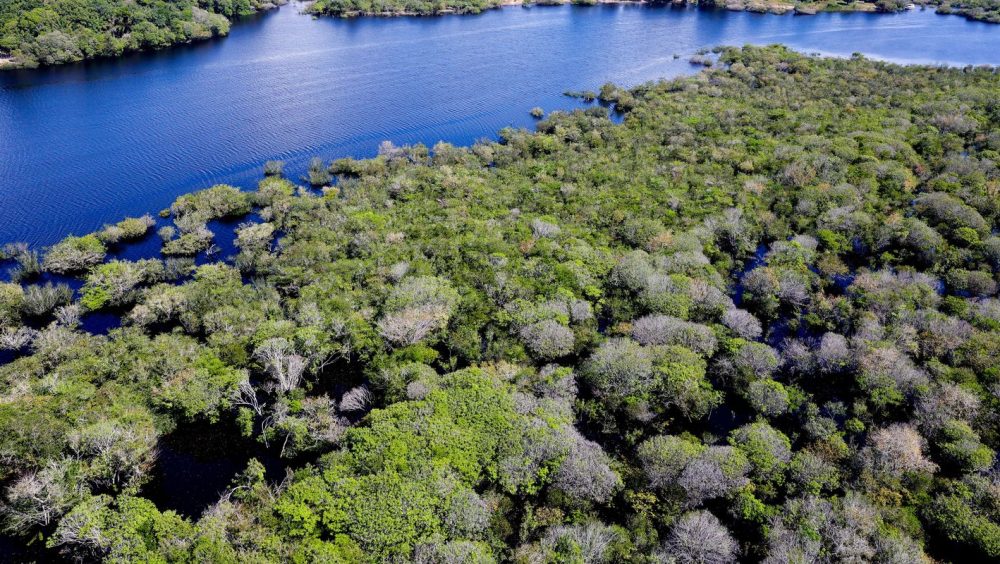 Alertas de desmatamento na Amazônia caem 35% em junho de 2026 Imagem referente a Alertas de desmatamento na Amazônia caem 35% em junho de 2026