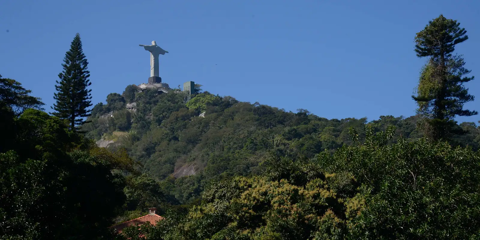 Parque Nacional da Tijuca celebra 65 anos com programação especial Imagem referente a Parque Nacional da Tijuca celebra 65 anos com programação especial