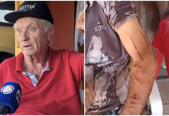 "Eu levantei ela com um soco", diz produtor após ataque de onça-parda no interior de Toledo