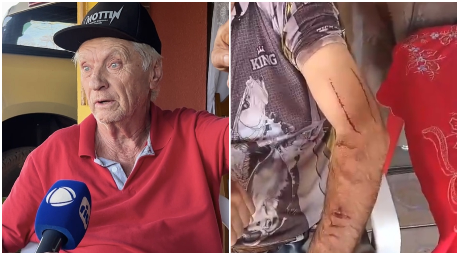 “Eu levantei ela com um soco”, diz produtor após ataque de onça-parda no interior de Toledo
