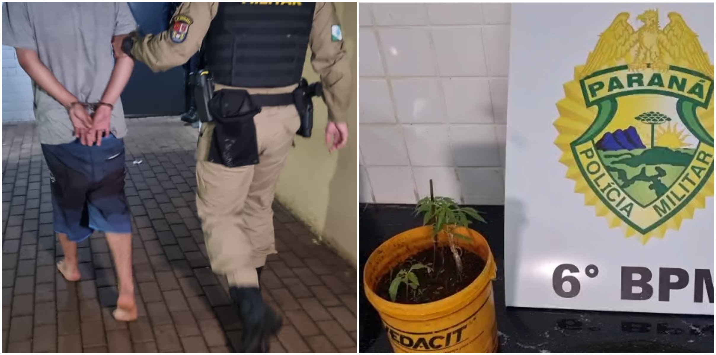 Jovem de 20 anos é detido com adolescente desaparecida e pé de maconha no Santa Felicidade