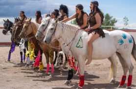 Antes do motor, do trator e do GPS, existia o cavalo