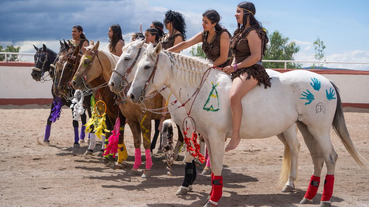 Antes do motor, do trator e do GPS, existia o cavalo