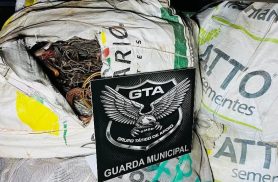 Carga de cobre de R$ 300 mil é apreendida durante abordagem da Guarda Municipal