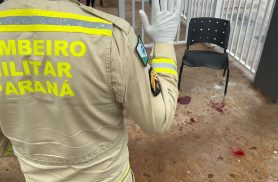 Ao cortar ‘tapirape’, mulher passa faca na mão e tem grande sangramento