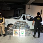 Imagem relativa a Polícia Federal e PM apreendem 500 kg de maconha após perseguição em Guaíra