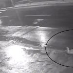 Imagem relativa a Câmera de segurança registra assassinato a facadas durante briga em Foz do Iguaçu