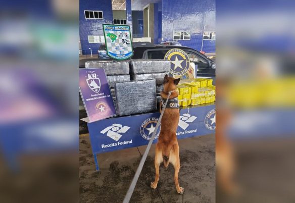 Agente canina encontra mais de 300kg de maconha em carro paraguaio na Ponte da Amizade