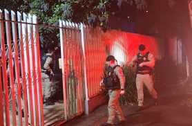 Mistério em residência termina com operação para conter Rottweiler em Cascavel