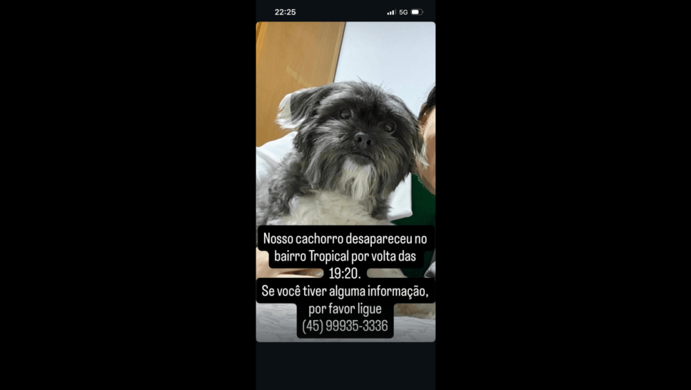 Cachorro Doki desapareceu no bairro Recanto Tropical Imagem referente a Cachorro Doki desapareceu no bairro Recanto Tropical