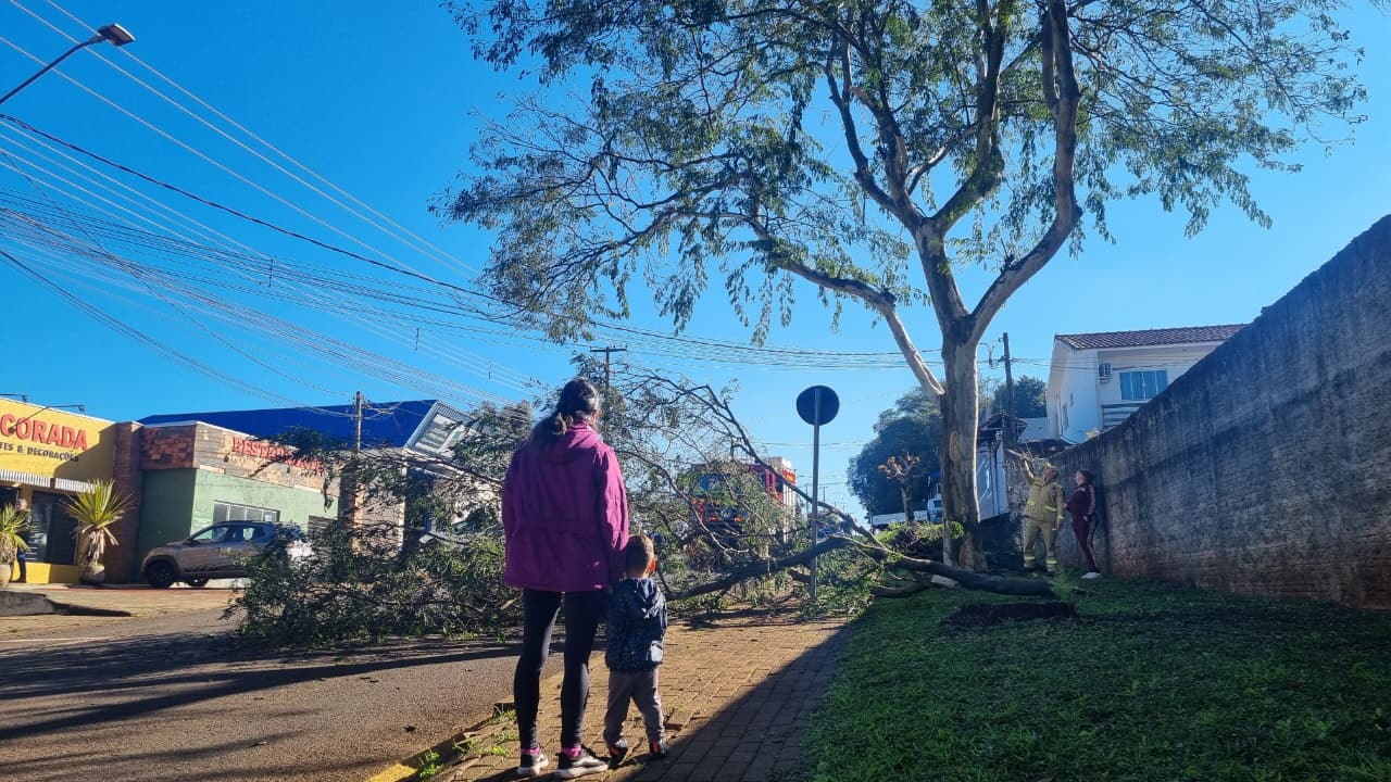 Galho de árvore cai e deixa Rua Marechal Rondon parcialmente interditada