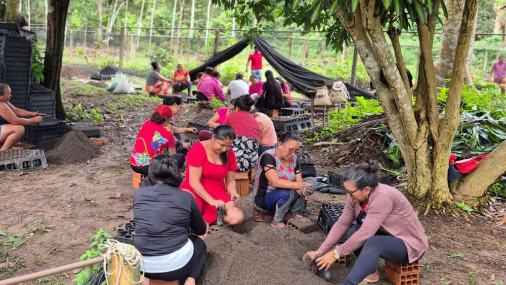 Mulheres da Amazônia se unem para enfrentar as mudanças climáticas Imagem referente a Mulheres da Amazônia se unem para enfrentar as mudanças climáticas