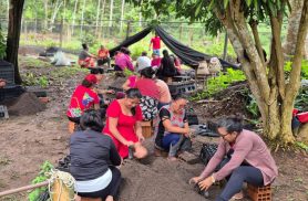 Mulheres da Amazônia se unem para enfrentar as mudanças climáticas