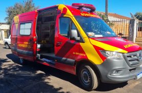 Homem fica ferido ao cair de árvore no Bairro Interlagos