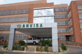 Saiba qual é o percentual de eficácia da vacina contra gripe liberada pela Anvisa