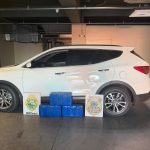 Imagem relativa a BPFRON e PF prendem homem e apreendem 47,5 quilos de maconha em Guaíra