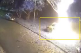 Veja momento em que Porsche bate contra árvore e explode em Campinas Veja momento em que Porsche bate contra árvore e explode em Campinas