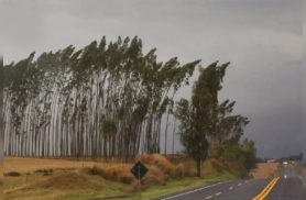 Inmet emite alerta de vendaval para Cascavel e outras 139 cidades do Paraná nesta quinta-feira