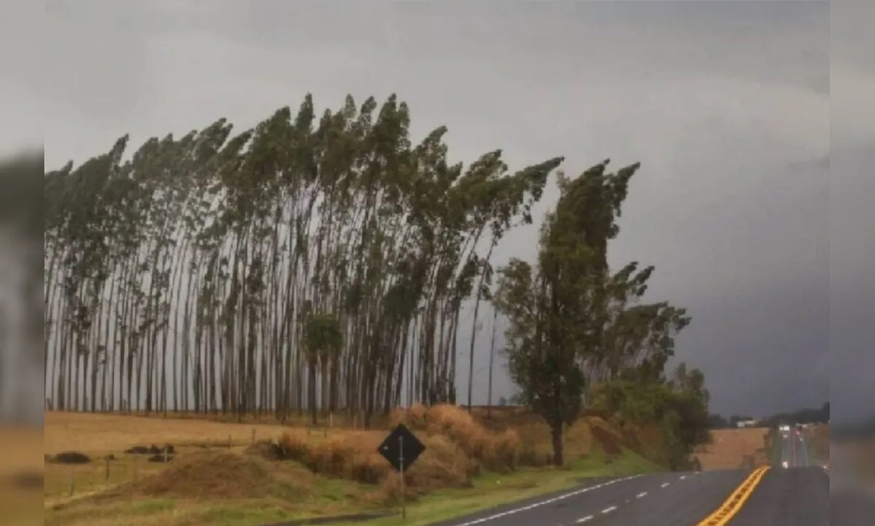 Imagem referente a Inmet emite alerta de vendaval para Cascavel e outras 139 cidades do Paraná nesta quinta-feira