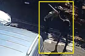 Imagens impactantes mostram agressão com taco de beisebol, socos e chutes em Cascavel