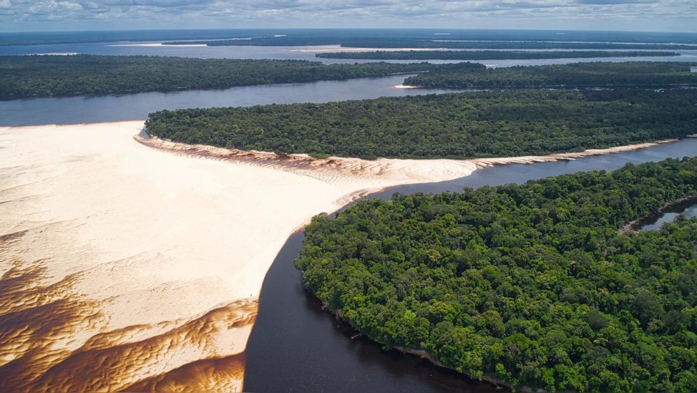 Dia de Proteção às Florestas lembra que a natureza ainda espera por atitudes, não apenas discursos Imagem referente a Dia de Proteção às Florestas lembra que a natureza ainda espera por atitudes, não apenas discursos
