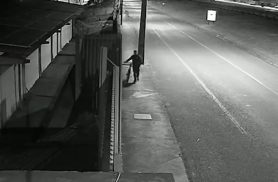 Furto de cabeamento em empresa às margens da BR-277 causa prejuízo; vídeo mostra ação Furto de cabeamento em empresa às margens da BR-277 causa prejuízo; vídeo mostra ação