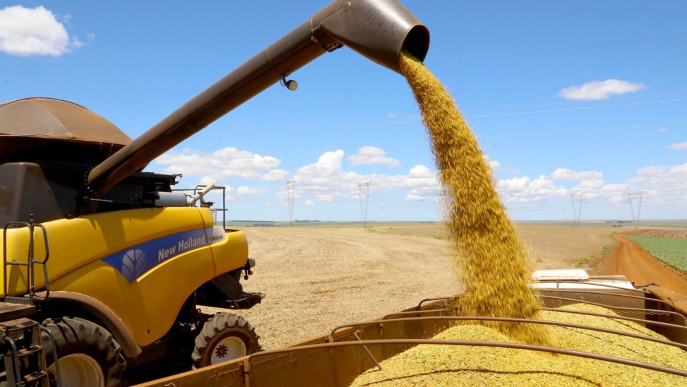 Tarifaço dos EUA ameaça 36% das exportações do agronegócio e acende alerta em Cascavel Imagem referente a Tarifaço dos EUA ameaça 36% das exportações do agronegócio e acende alerta em Cascavel