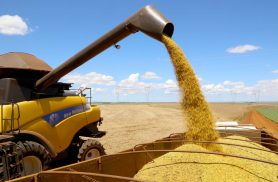 Tarifaço dos EUA ameaça 36% das exportações do agronegócio e acende alerta em Cascavel