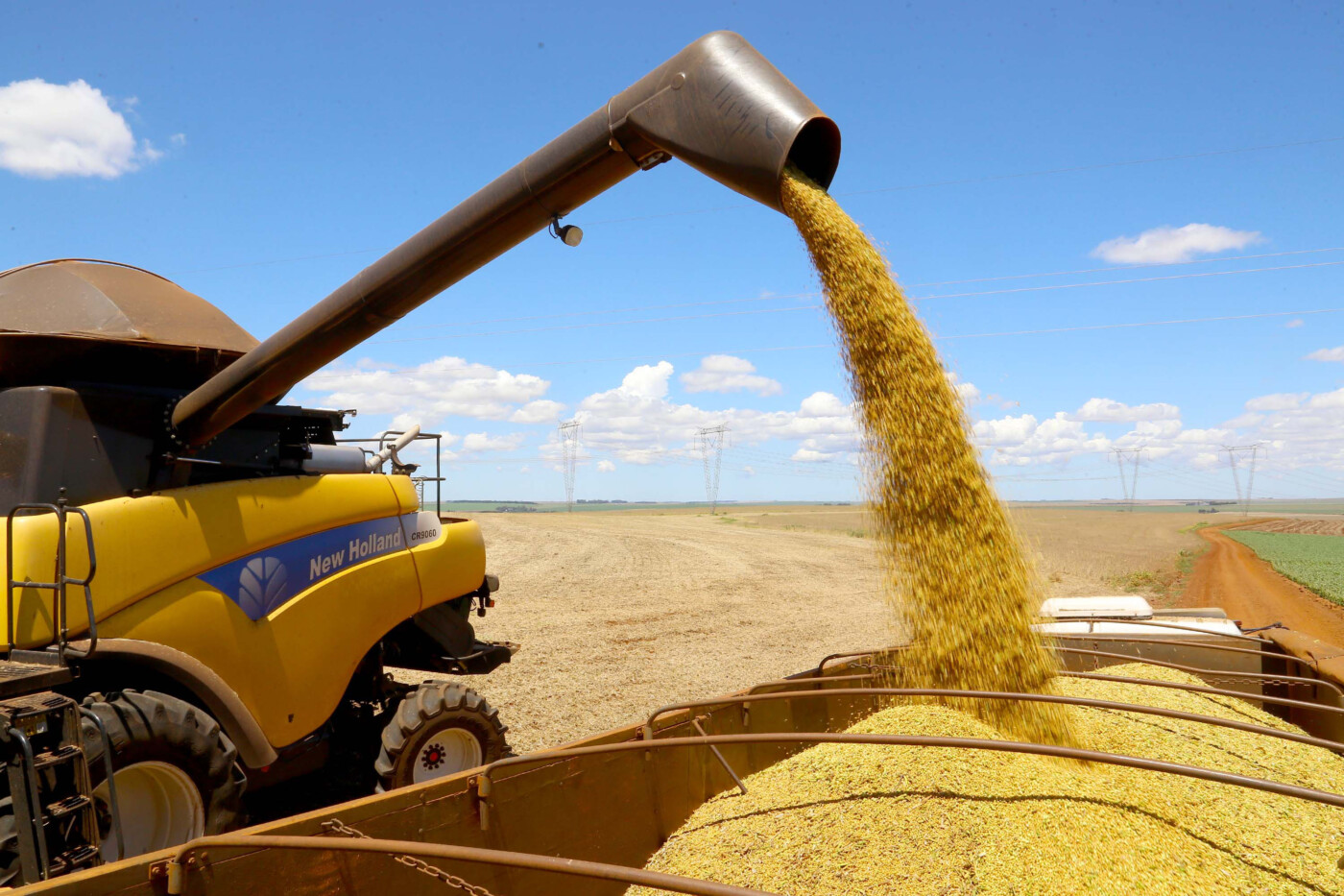 Imagem referente a Tarifaço dos EUA ameaça 36% das exportações do agronegócio e acende alerta em Cascavel