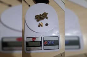 Motorista é flagrado com maconha durante fiscalização na PR-182, em Palotina