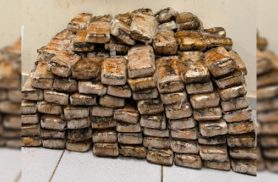 PF intercepta carregamento de 225 quilos de crack e prende motorista em flagrante