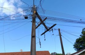 Queda de árvore provoca dano em poste e deixa bairro de Toledo sem luz Queda de árvore provoca dano em poste e deixa bairro de Toledo sem luz