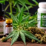 Publicado Relatório do chamamento para trabalhos científicos sobre cannabis Imagem relativa a Publicado Relatório do chamamento para trabalhos científicos sobre cannabis