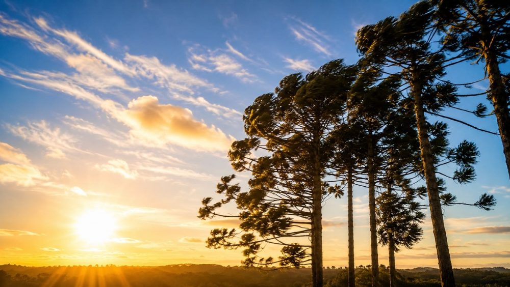 Sol espanhol ou ventania argentina? Domingo de decisão tem clima com metáforas no céu Imagem referente a Sol espanhol ou ventania argentina? Domingo de decisão tem clima com metáforas no céu