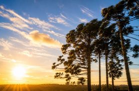 Sol espanhol ou ventania argentina? Domingo de decisão tem clima com metáforas no céu