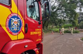 Bombeiros e Defesa Civil são acionados para retirada de árvore com risco de queda Bombeiros e Defesa Civil são acionados para retirada de árvore com risco de queda