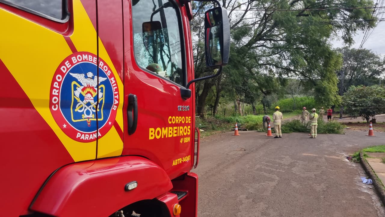 Bombeiros e Defesa Civil são acionados para retirada de árvore com risco de queda