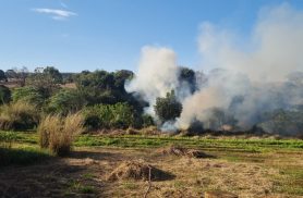 Incêndio em vegetação mobiliza bombeiros no Bairro Morumbi
