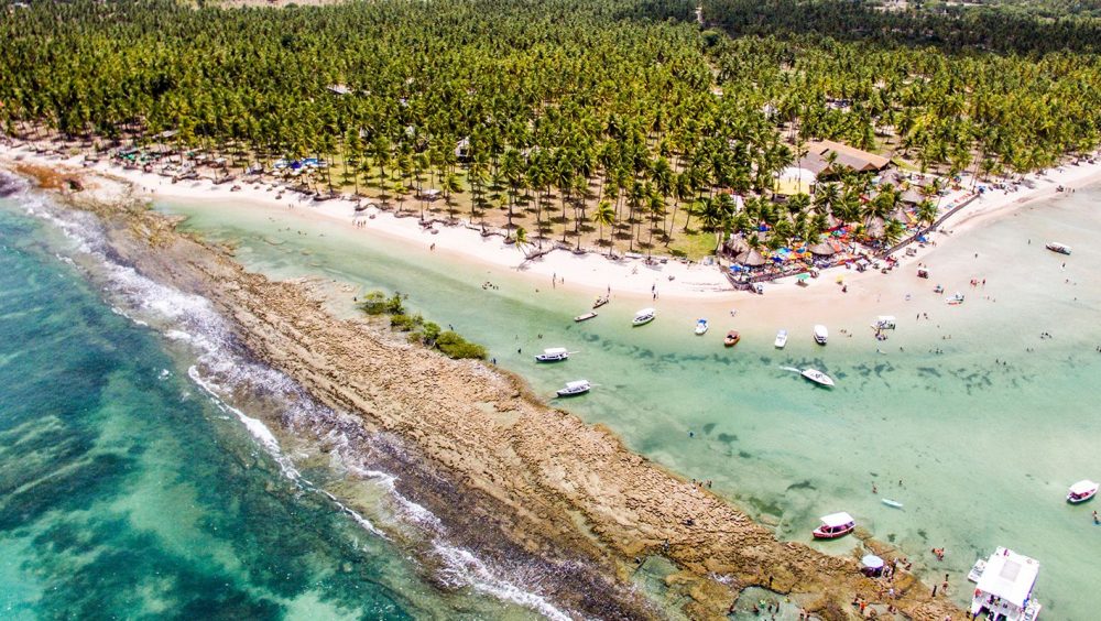 Imagem referente a Barulho de barco e de turistas afeta comunicação de peixes, diz estudo