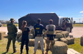 BPFRON, PF e PRF apreendem caminhão com 15 mil pacotes de cigarros contrabandeados em Guaíra