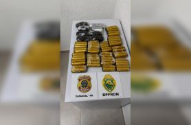 PM e Polícia Federal apreendem mais de 1,1 tonelada de drogas e prendem quatro no Oeste do Paraná PM e Polícia Federal apreendem mais de 1,1 tonelada de drogas e prendem quatro no Oeste do Paraná