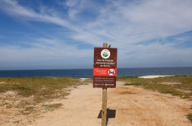 Restinga de Maricá: disputa pelo território opõe empresa e comunidades Restinga de Maricá: disputa pelo território opõe empresa e comunidades