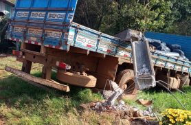 Trabalhador morre eletrocutado após caminhão atingir postes durante carregamento de silagem