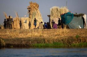 Fome mundial atinge 645 milhões de pessoas, diz relatório da ONU