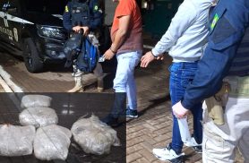 PRF apreende mais de 1,4 kg de skunk com passageiros de carro de aplicativo na BR-277