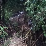 Corolla fica destruído ao cair em barranco de 15 metros na PR-182, em Toledo Imagem relativa a Corolla fica destruído ao cair em barranco de 15 metros na PR-182, em Toledo