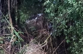 Corolla fica destruído ao cair em barranco de 15 metros na PR-182, em Toledo